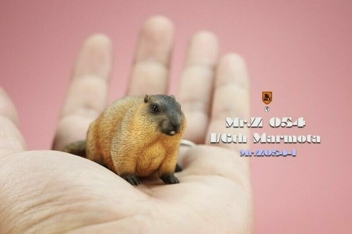 1/6 Mr.Z Scene Props Marmot Animal Statue Guinea Pig Model Fit 12" Figure Doll - Picture 1 of 6