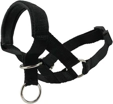 Nylon Dog Head Collar Halter Black 6 Sizes