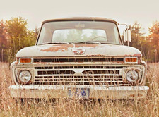 Babydream photography backdrop 10x10 fleece