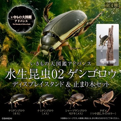The Diversity of Life on Earth Advance Water Bug 02 Figure w/ Stand Bandai