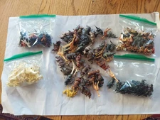 plastic animals lot vintage 250 Pieces 