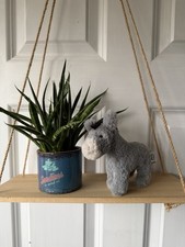 Jellycat Diddle Donkey