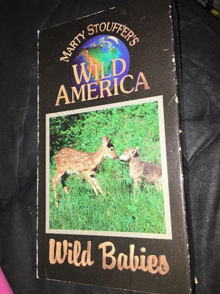 Marty Stouffer's Wild America. Wild Babies. VHS. 1993. Nature Show