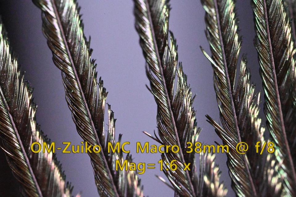 Olympus OM-System Zuiko MC Macro 38mm f/3.5 MF Lens - RMS Mount [Ex++] - Image 4 of 4