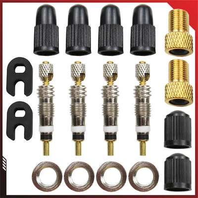 PITLANE PERFORMANCE Presta Fahrrad-Ventil 18tlg Reperaturset Ersatzventile Ventileinsatz Blitzvenitl