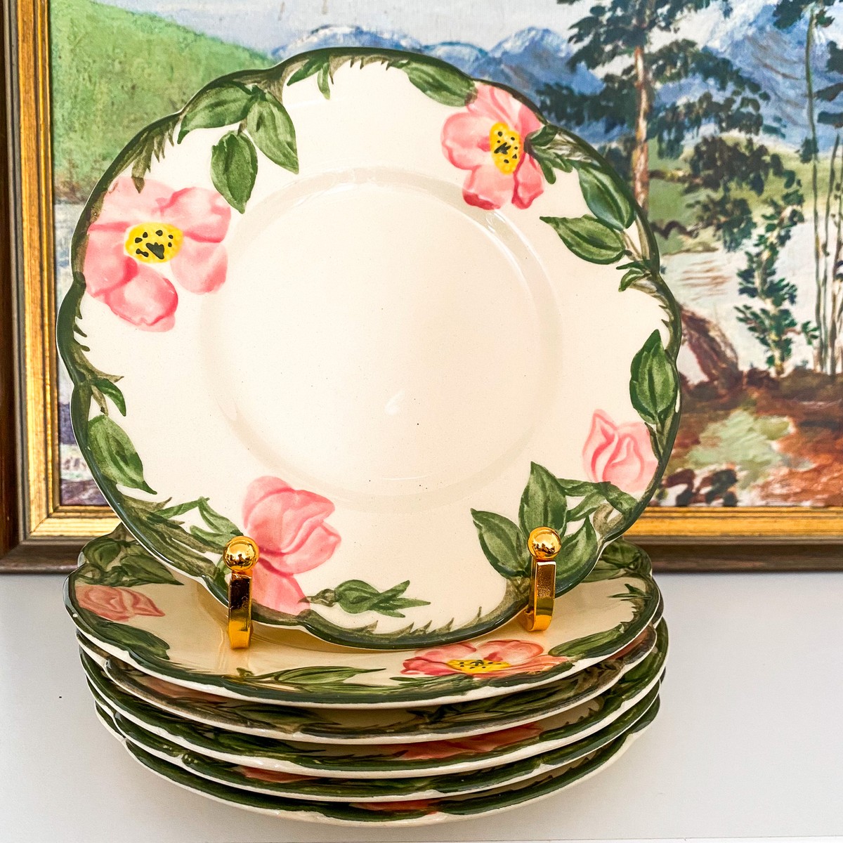 American Dessert Rose 二つに分かれた皿　フランシスカン Amazon.com | Franciscan Desert Rose Divided Vegetable Plate