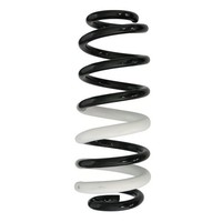 Fahrwerksfeder Hinterachse Schraubenfeder Ø110Mm Spidan FüR Ford Ecosport