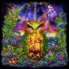 UV Backdrop Black Light Tapestry Psychedelic Art Banner Fluoro Psy Wall Hanging