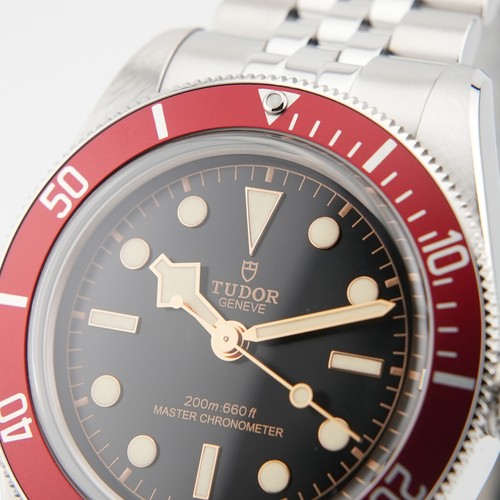 TUDOR Black Bay M7941A1A0RU-0003 Master Chronometer Box/Papier - Bild 9 von 24