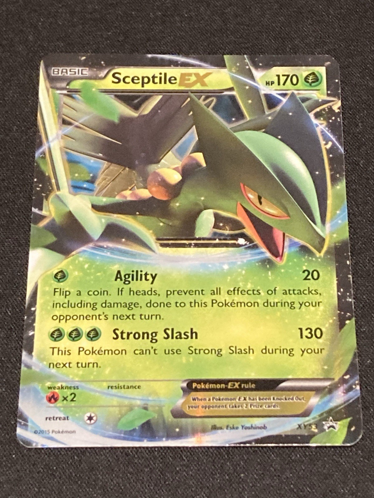 Pokemon - Sceptile EX - XY Black Star Promo XY53