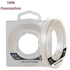 Dorisea 100% Fluorocarbon Fishing Line Carbon Leader Line Wire Big Game 50m 100m