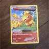 Torchic XY Primal Clash 26/160 Uncommon Ω Barrage Pokémon Card English 2015