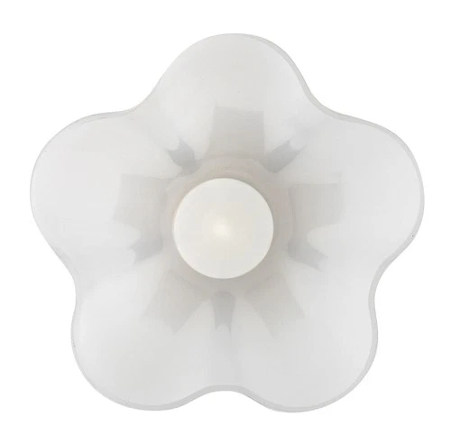 Lark 83717 Honey 1 Light 11"W Pendant - Brass - Picture 4 of 6