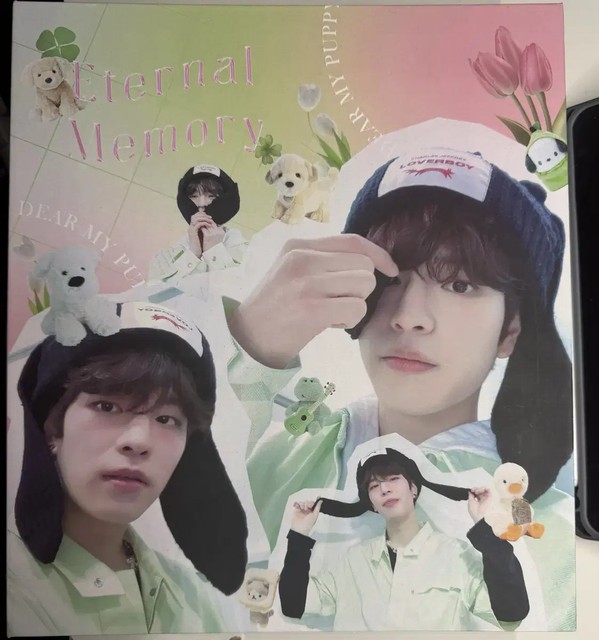 straykids Seungmin 9-tier binder