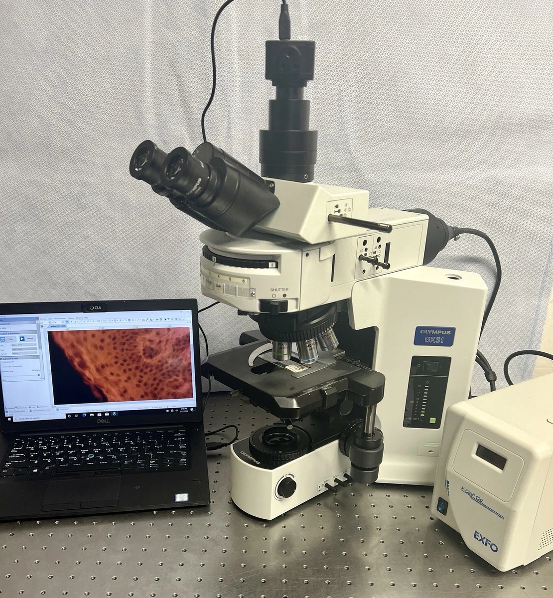 Olympus BX51 New S APO Fluorescence EXFO X-Cite Microscope | eBay