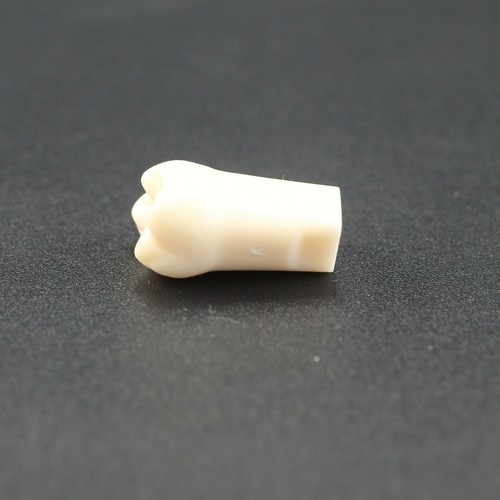 Kilgore NISSIN 200 Dental Typodont Model Mounting Pole 32pc Removable Teeth - Picture 92 of 118