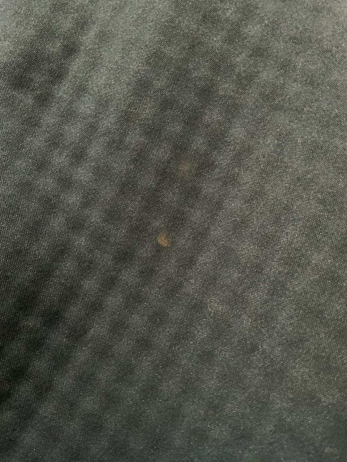 Picture 9 of 15