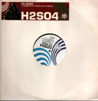 H2so4 The Waves Vinyl Single 12inch NEAR MINT Private Life Music