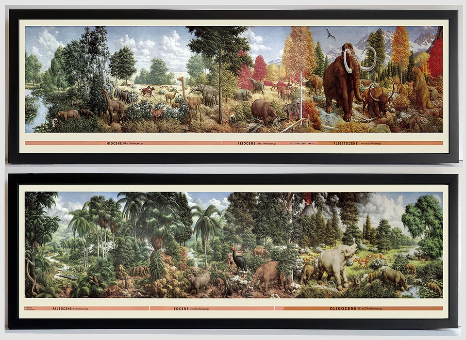 UNSPECIFIED Rare Age of Mammals Mural Poster by Zallinger Framed Set