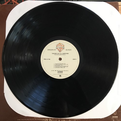 T.G. SHEPPARD: the best of - special radio sampler WB 12" LP 33 RPM - Picture 3 of 6