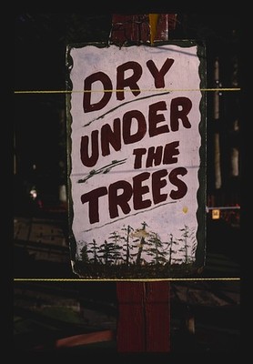 Photo:Dry sign, Nutty-Putty, Old Forge, New York