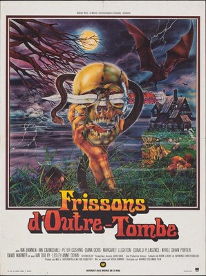 FRISSONS D OUTRE-TOMBE, PIERRE BRICE, 1973, REPRO MOVIE POSTER, VINTAGE, HQ