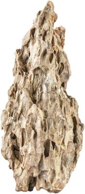 Sera Rock Dragon Stone L - Brauner Naturstein mit stark zerfurchter Oberfläche