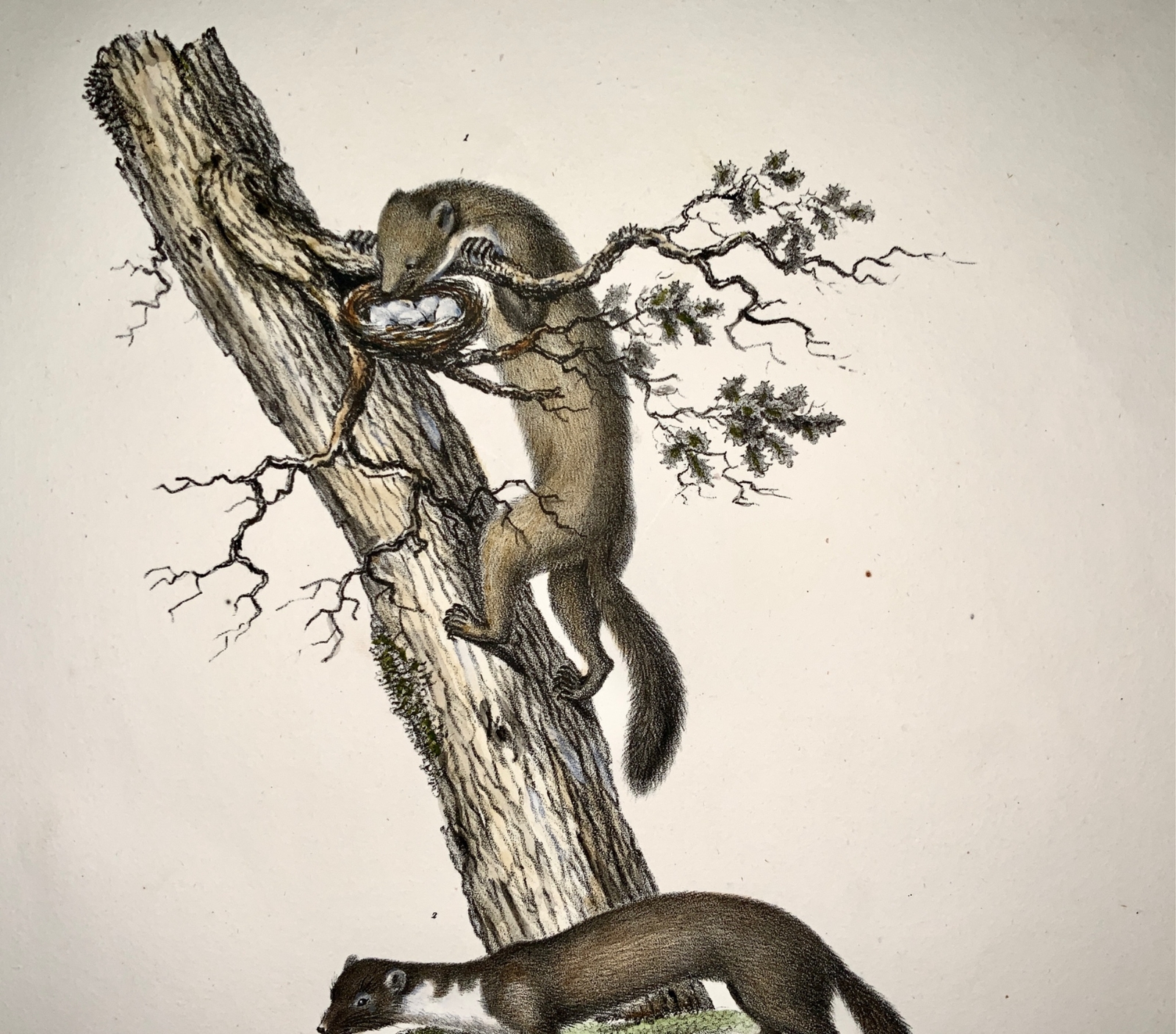 Picture 3 of 4