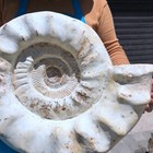 Foto 22 di 23