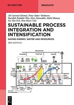 Jiří Jaromír Klemeš Petar S Sustainable Process Integ (Taschenbuch) (US IMPORT)
