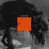 Algiers - Shook Cd - Cd - G3Z