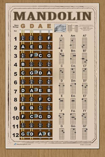 Laminated Mandolin Easy Chords Fretboard Wall Chart Poster Beginner Americana - Picture 5 of 6