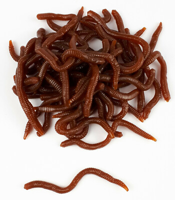 25/50 St. KÜNSTLICHE REGEN WÜRMER 6-8cm Gummi Angel Soft Köder Tau Rot Mist Wurm