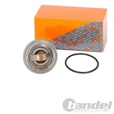 Thermostat Audi 100
