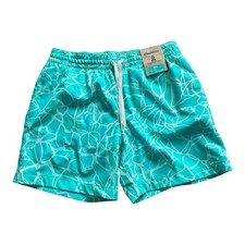 Chubbies The Pool Parties 5.5  Classic Swim Trunk Shorts With Liner - NWT