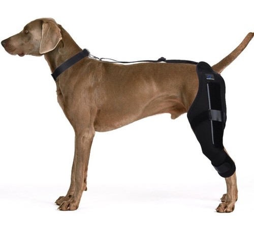 Dog Knee Brace For Right Side Size S For Torn ACL, Tendonitis, LP, Recovery