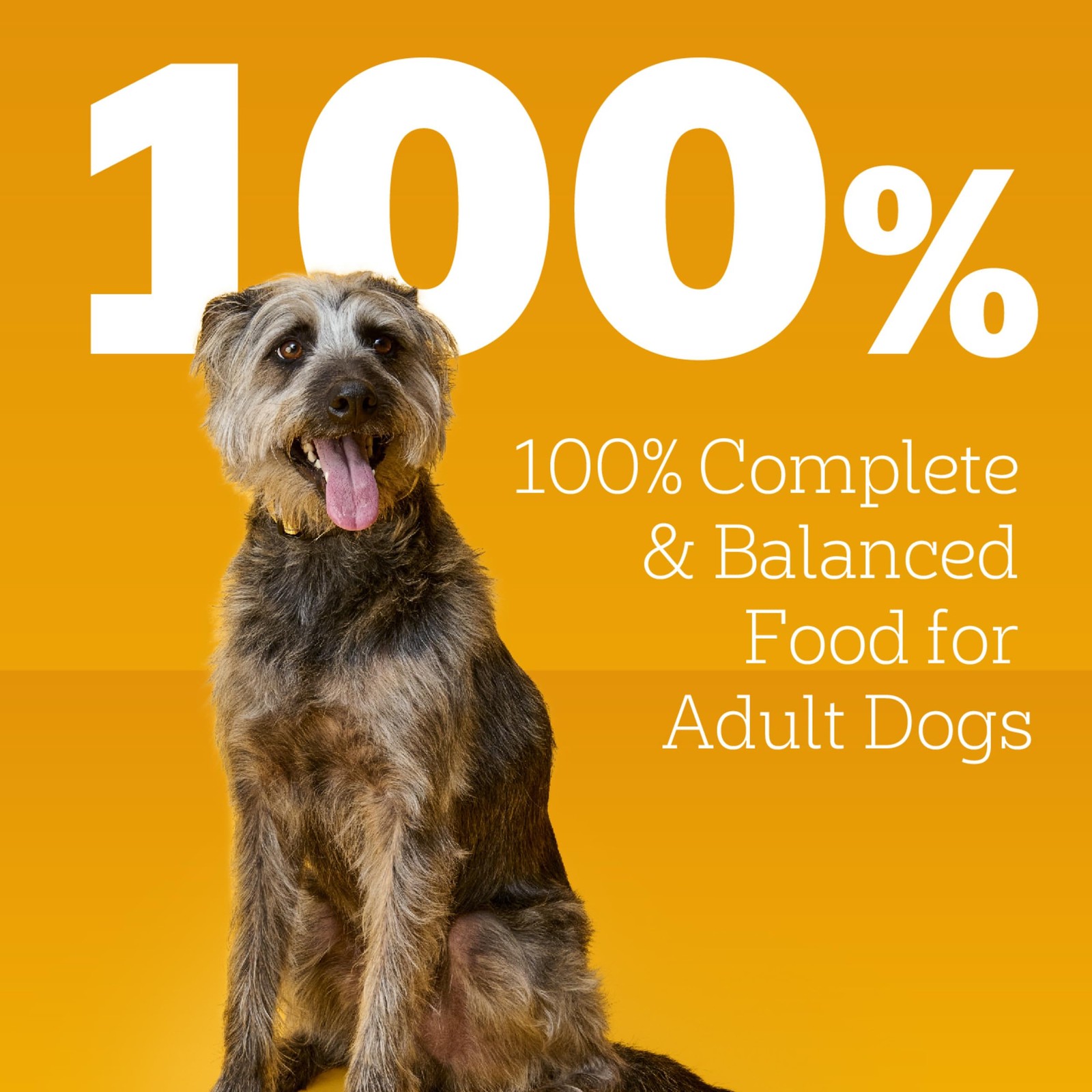 Pedigree Choice Cuts in Gravy Adult Canned Soft Wet Dog Food Prime Rib & Chic...