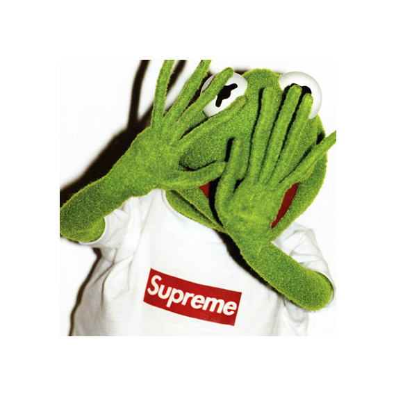 22x28 Print - Supreme x Kermit Paparazzi Urban Street Poster