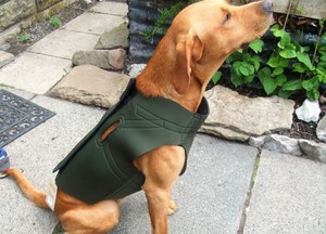 gun dog coats