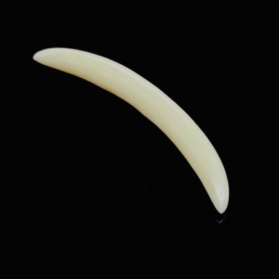 Bone Handicrafted Septum Piercing Curved Tusk Size 12g-12MM