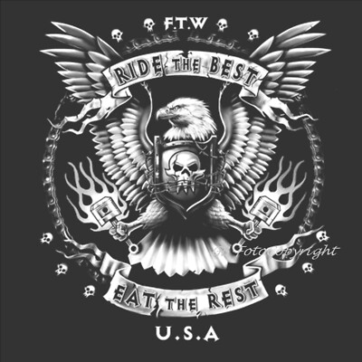 Biker T-Shirt Herren Adler-Motiv Pistons Oldschool Garage USA *4145 anthrazit