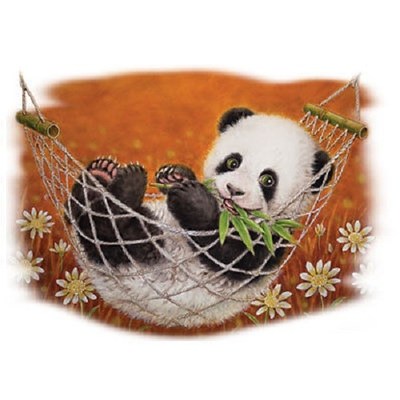 Hammock Panda  Tshirt   Sizes/Colors
