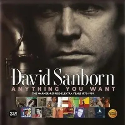 Anything You Want-Warner/Reprise/Elektra Years | David Sanborn | Audio-CD | CD