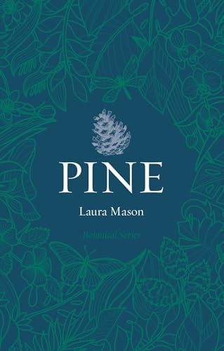 Pine (Botanical) - Image 3