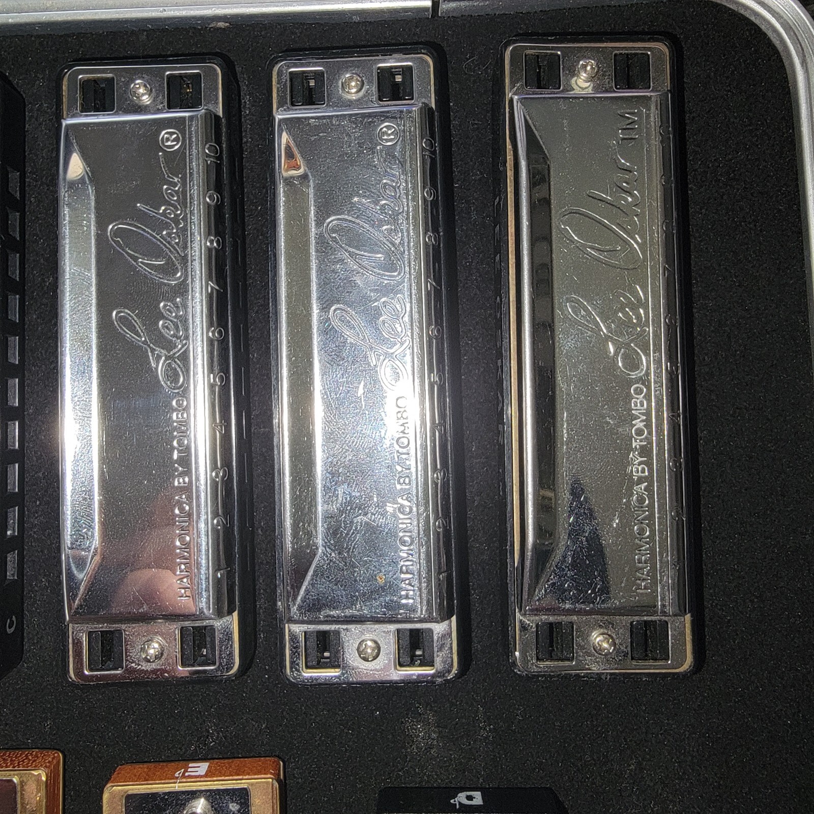 Hohner Harmonica Hard Case With 12 Harmonicas Lee Oskar Blues Harp Pro