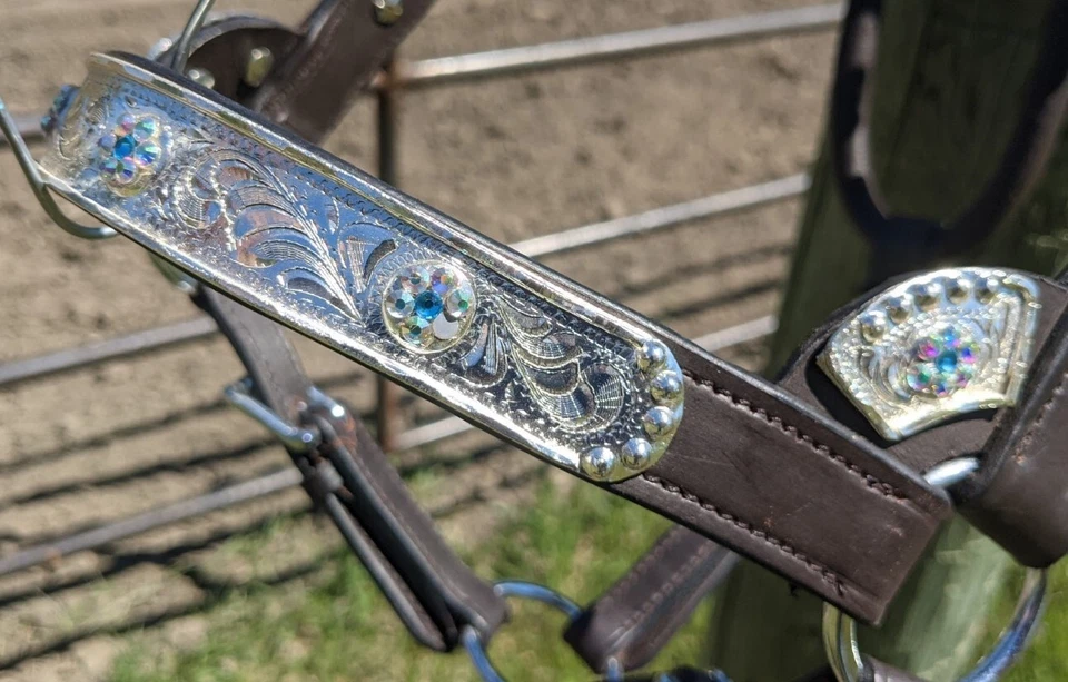 Halter Silver Show - Piedras Iridiscentes - Aceite Oscuro - Tamaño Caballo - Plomo a Juego Foto 3 de 4