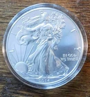 2014 American Silver Eagle Dollars 1 Troy Oz .999 Fine Silver Goddess of Liberty