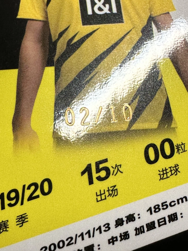 Oro Giovanni Reyna 2020-21 Daka Borussia Dortmund/10 BVB #17 2º año Foto 3 de 3