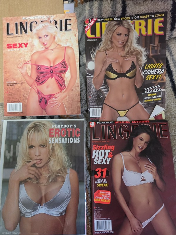 play boy lingerie magazine lot