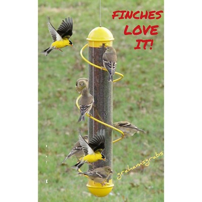 Songbird Essentials 17'' YELLOW Spiral Best FINCH TUBE BIRD FEEDER FOR NYJER, ETC